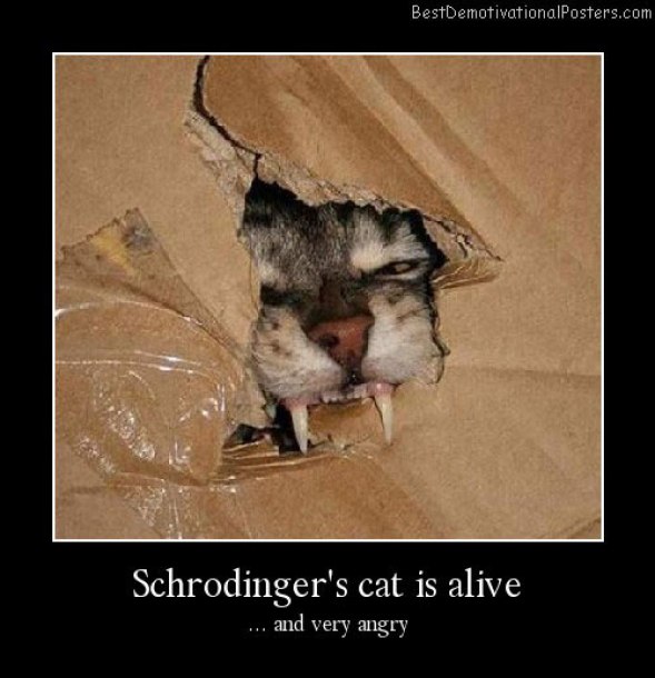 Schrodingers-cat-is-alive-Best-Demotivational-Posters
