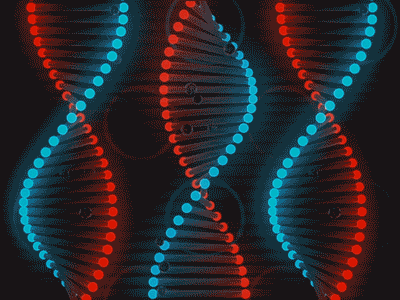 dna-rna-chromosomes-double-helix-rotating-animated-gif-20.gif